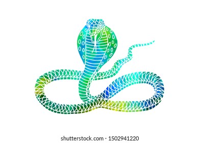snake cobra graphic patterns. eps10 vector illustration. hand drawing