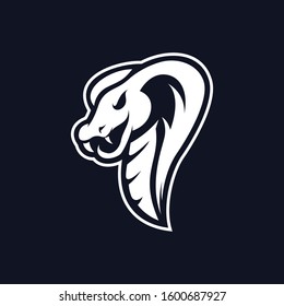 Snake cobra mascot sport design vector