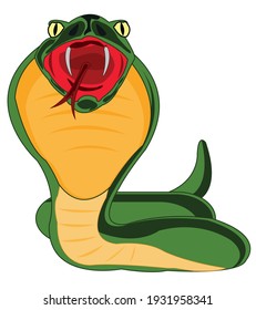 Snake cobra on white background is insulated