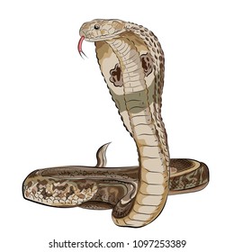 Snake of the cobra. Style of oriental tattoo. Vector.