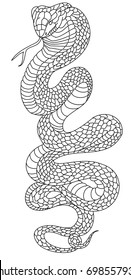 snake cobra tattoo style Cobra vector. king Cobra snake with mouth open.Snake cobra illustration.