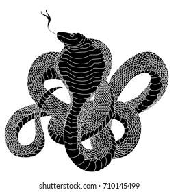 snake cobra tattoo style.Cobra vector.A Cobra snake with mouth open.Snake cobra illustration.Traditional Japanese culture for printing on background.Snake with Sunrise for coloring book on background.