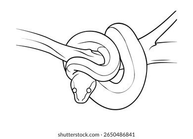 A snake coiled around a branch on a serpent reptile