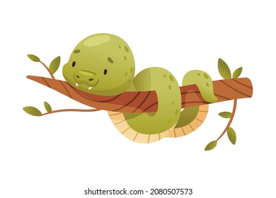 Snake coiled up on tree branch. Funny wild reptile baby animal cartoon vector illustration