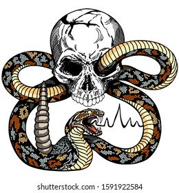 snake coiled round the human skull. Angry dangerous rattlesnake. Tattoo or shirts design style vector illustration