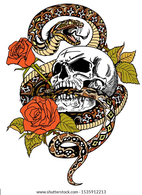 蛇が人間の頭蓋骨とバラの周りに巻きついていた怒る危険な蛇と花 タトゥースタイルまたはtシャツのデザインベクターイラスト のベクター画像素材 ロイヤリティフリー