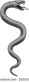 Serpente enrolada serpente, ilustração original em um vintage gravura de madeira gravura estilo gravura.
