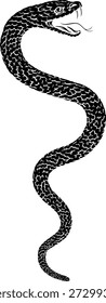 Snake coiled serpent, original illustration in a vintage woodcut engraving etching style.