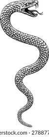 Snake coiled serpent, original illustration in a vintage woodcut engraving etching style.