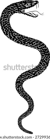 Snake coiled serpent, original illustration in a vintage woodcut engraving etching style.