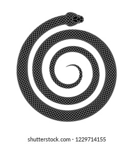 Snake coiled in a spiral shape. Serpentine helix tattoo design. Vector illustration isolated on a white background.