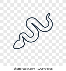 Snake concept vector linear icon isolated on transparent background, Snake concept transparency concept in outline style
