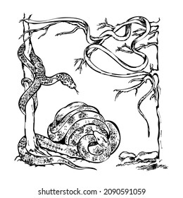 Snake crawl on the trees, lying on the tree.  Snake twists around a stone, squirming. Hand drawn illustration, graphic drawing for tattoo, stickers, t-shirt design.