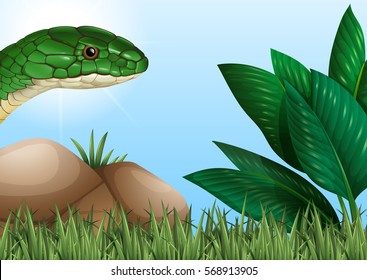 Snake crawling in the garden illustration