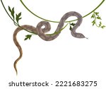 Snake crawling on vine isolated on white. Python on liana vector illustration. Large non-poisonous tropical snake, reptile animal inhabitant of southern regions, exotic danger serpent on tree