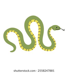 Snake in doodle style. Symbol of the year to Chinese calendar. Symbol of 2025. Vector illustration isolated on white background.