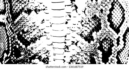 Snake dragon skin scales texture. pattern black white background. simple ornament, Can be used for card banner template. Vector