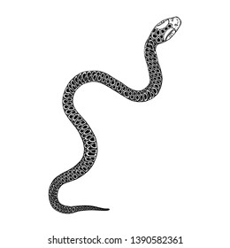 Snake drawing illustration. Black serpent isolated on a white background tattoo design. Venomous reptile, drawn witchcraft, voodoo magic attribute for Halloween.  Vector.