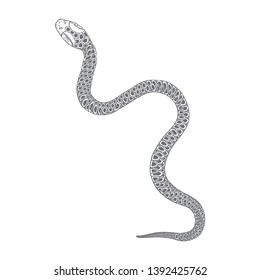 Snake drawing illustration. Black serpent isolated on a white background tattoo design. Venomous reptile, drawn witchcraft, voodoo magic attribute for Halloween.  Vector.