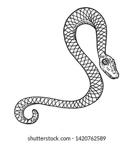 Snake drawing illustration. Black serpent isolated on a white background tattoo design. Venomous reptile, drawn witchcraft, voodoo magic attribute for Halloween. Vector.