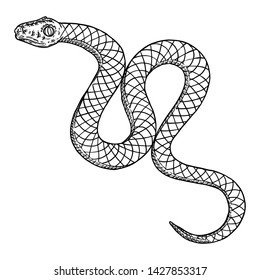 Snake drawing illustration. Black serpent isolated on a white background tattoo design. Venomous reptile, drawn witchcraft, voodoo magic attribute for Halloween. Vector.