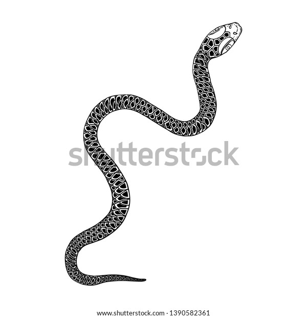 Snake Drawing Illustration Black Serpent Isolated Stock Vector (Royalty ...