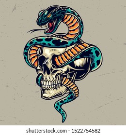 Snake entwined with skull colorful concept in vintage style isolated vector illustration