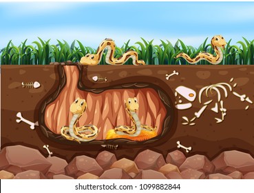 A Snake Family Living Underground illustration