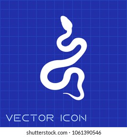 Snake flat icon vector on blue background.