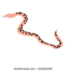 snake flat illustration Wild life plants and animals series