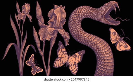 Snake, flower and butterflies. Design set. Editable hand drawn illustration. Vector vintage engraving. Isolated on black background. 8 EPS