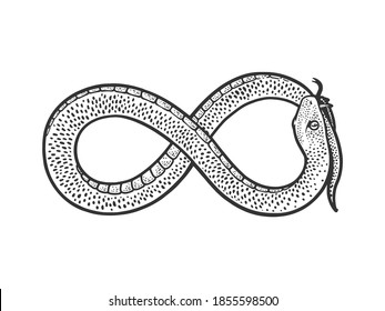 73 Snake biting its own tail Images, Stock Photos & Vectors | Shutterstock