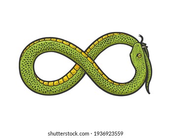 snake in form of infinity sign biting its own tail color sketch engraving vector illustration. T-shirt apparel print design. Scratch board imitation. Black and white hand drawn image.