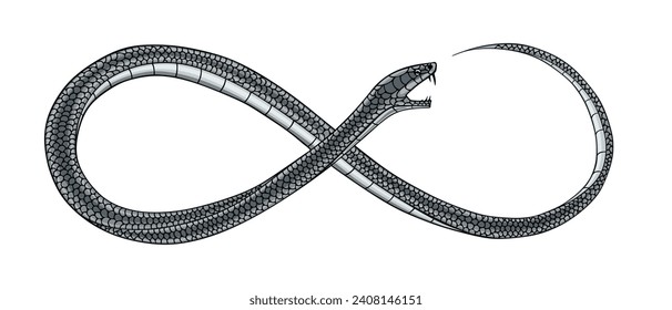Snake in form of infinity sign, vector illustration