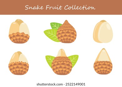 coleção de frutas de cobra em diferentes poses. Ilustração vetorial.