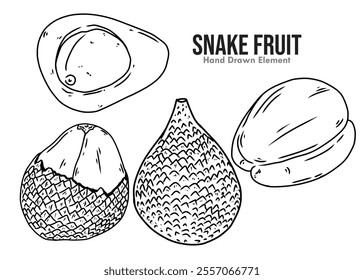 Snake fruit hand drawn design sketch with black ink line art one set. Images for fruit design ornaments, packaging, fruit, and others