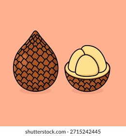 Snake Fruit (Salak) Cutaway Exploded Sectional View of Layered Anatomy