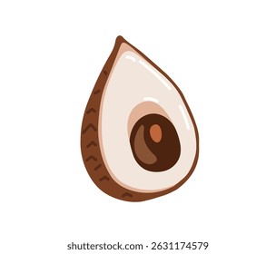 Snake fruit, snakeskin fruit. Salak tropical exotic fruit. Vector hand-drawn illustration, isolated on white background.