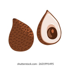 Snake fruit, snakeskin fruit. Salak tropical exotic fruit. Whole, halved peeled piece. Vector hand-drawn illustration, isolated on white background.