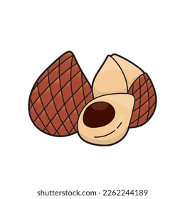 snake fruit vector art illustration