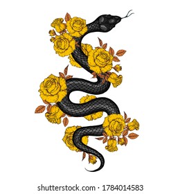 Snake and gold roses illustration. Vector illustration. Hand drawn illustration for t-shirt print, fabric and other uses