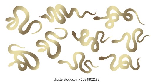 Snake golden silhouette set. Isolated snake silhouette on transparent background