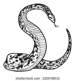 snake graphic design vector illustration, art tattoo sketch, hand draw, print use