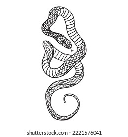 Schlangengrafik-Design, Vektorgrafik, Art Tattoo-Skizze, handgezeichnet, Druckverwendung