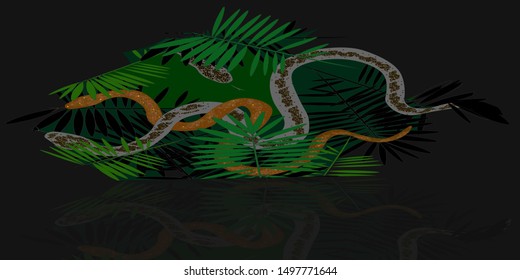  Snake in green leaves.Vector illustration.