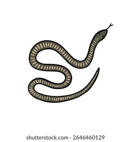 A snake in green and pink with stripes. Illustration created by hand.