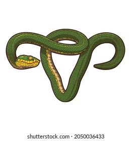snake green vector illustration design