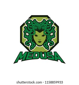 snake hair or medusa logo for your business, vector illustration