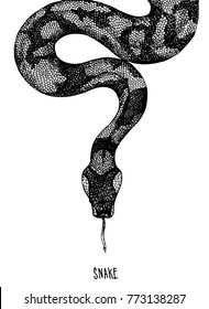 Snake Hand Drawing