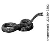 snake hand drawing vector isolated on white background.